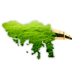 Green Hong Kong